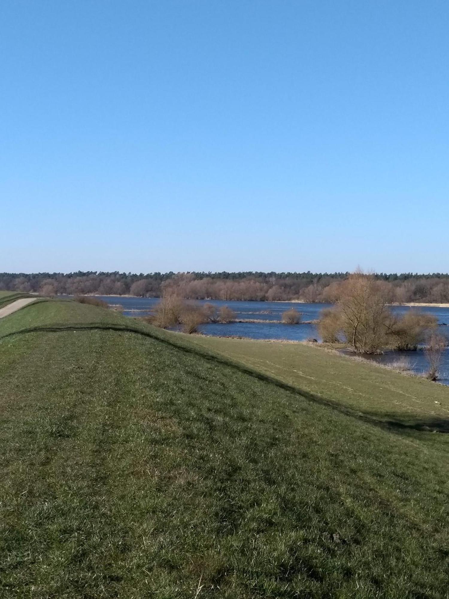 Kroetenhof Barfoerde Barforde Bagian luar foto